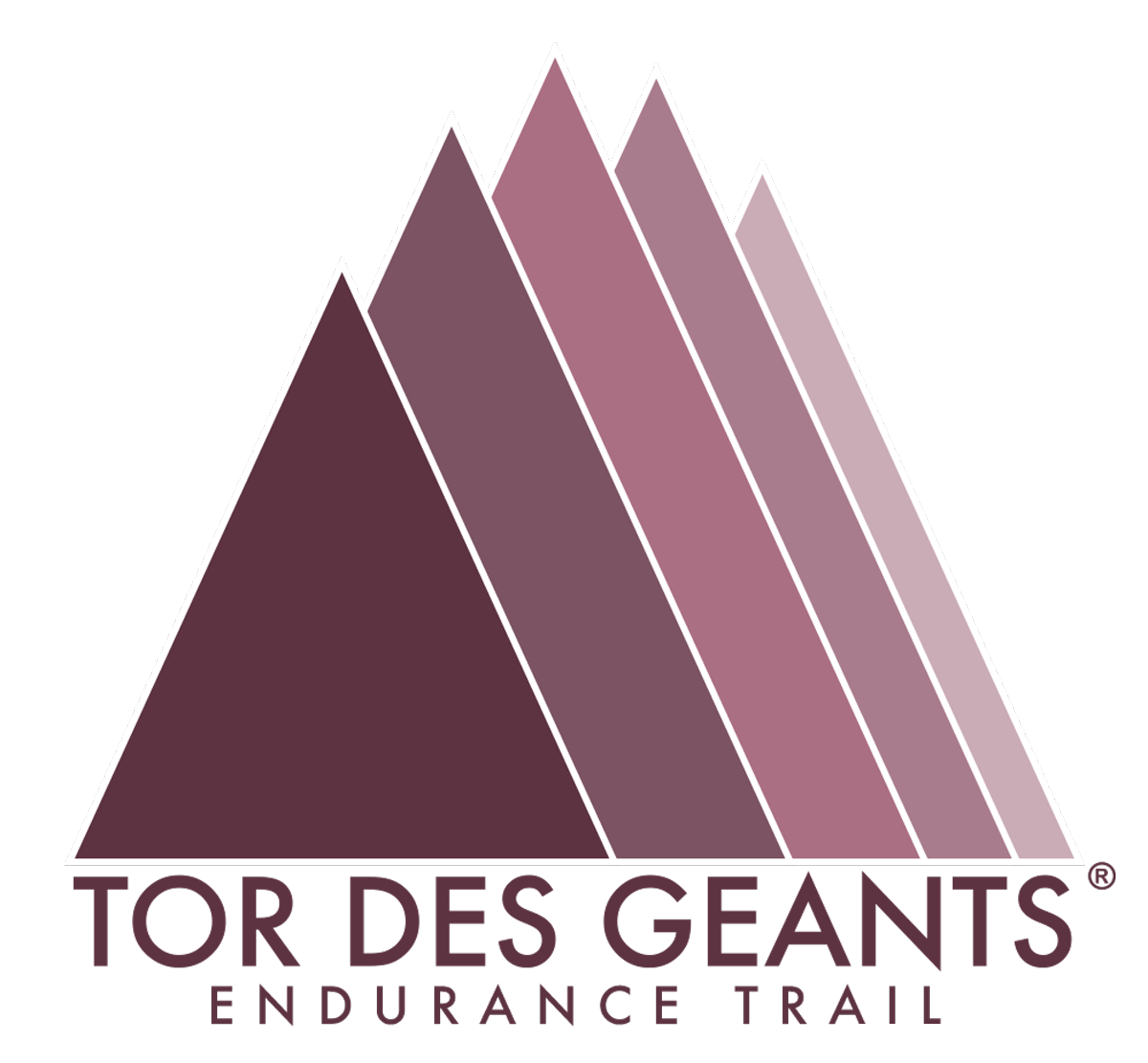 Logo TOR